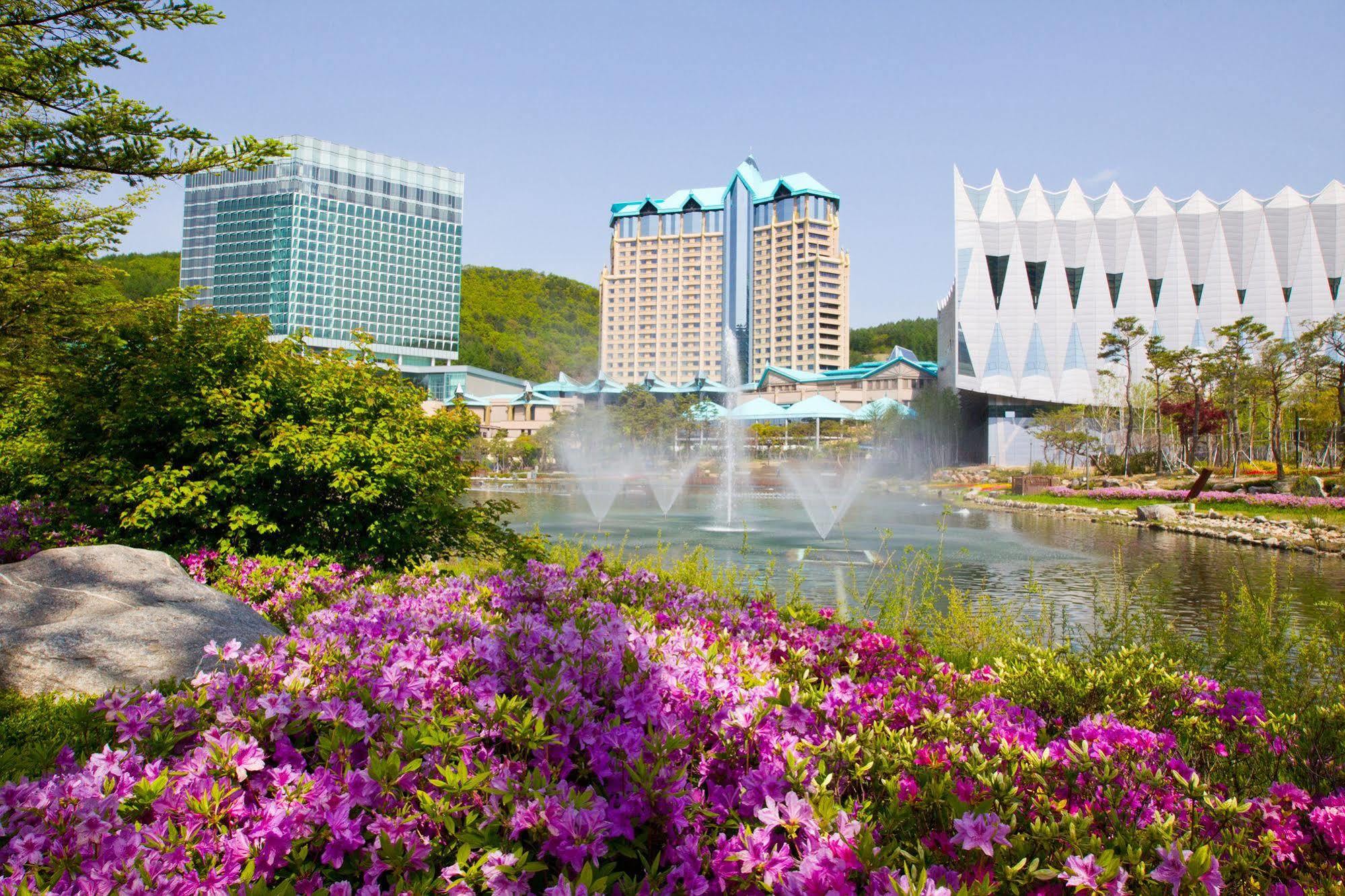 High1 Grand Hotel Convention Tower Jeongseon Exterior photo