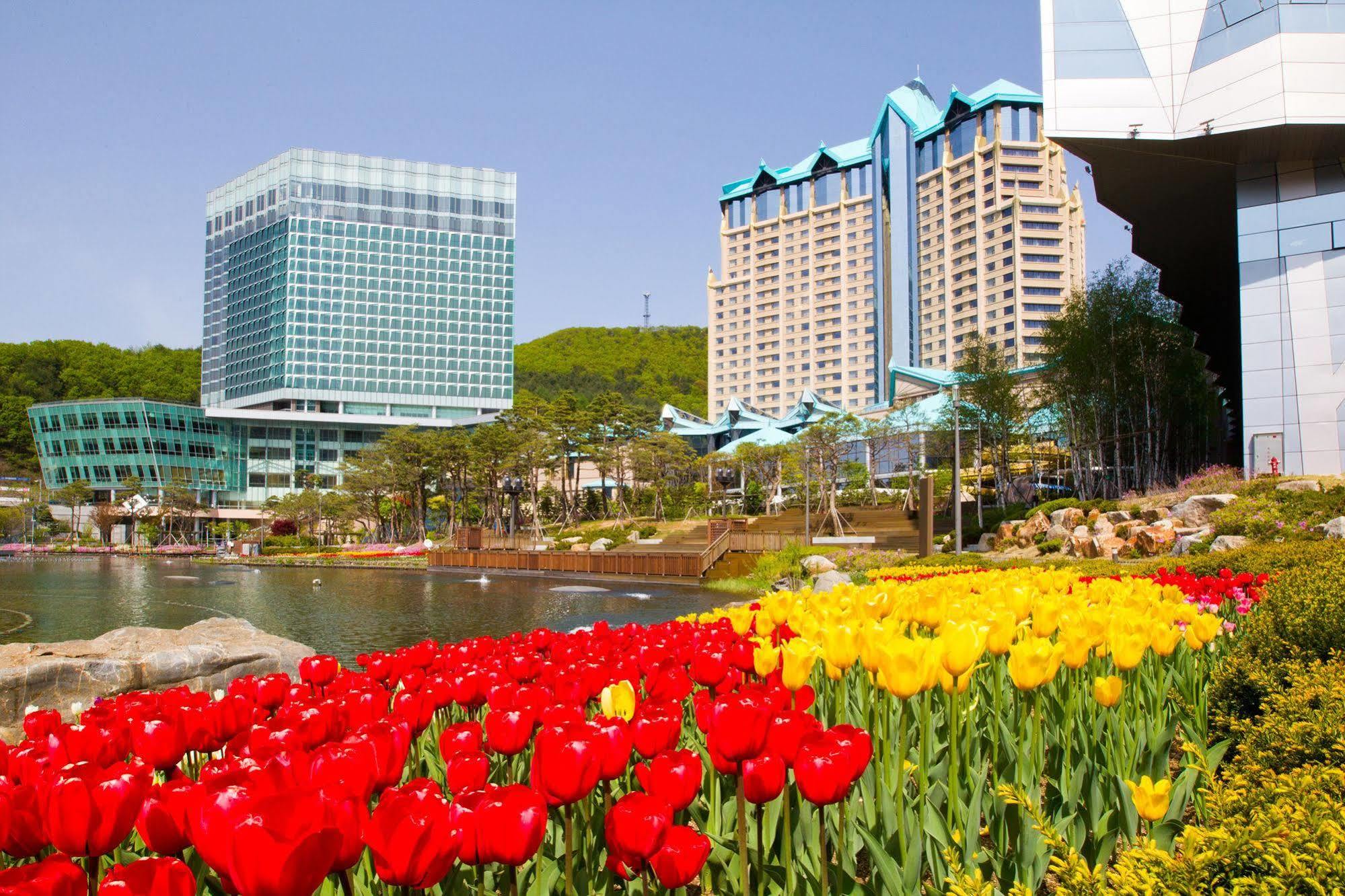 High1 Grand Hotel Convention Tower Jeongseon Exterior photo